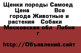 Щенки породы Самоед › Цена ­ 20 000 - Все города Животные и растения » Собаки   . Московская обл.,Лобня г.